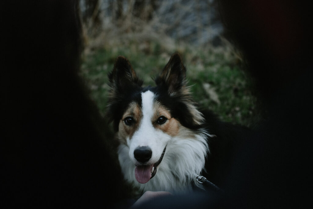 Lifestylová fotografka Luka nad Jihlavou