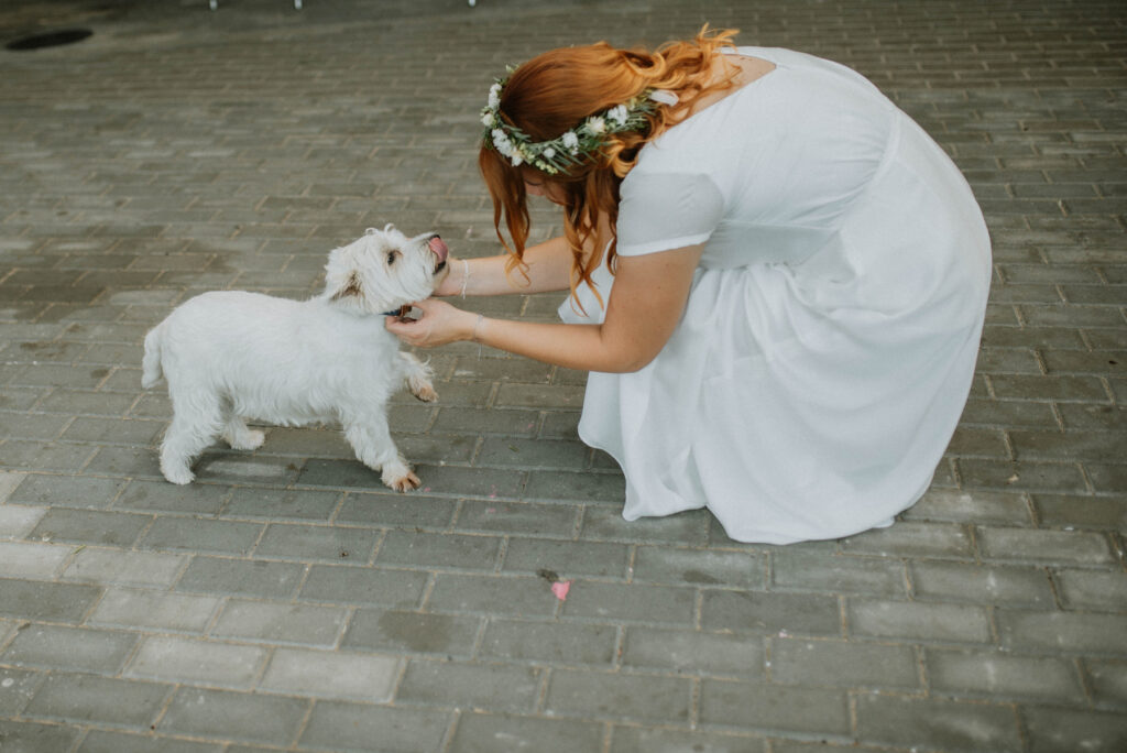 Fotografka Vysočina
